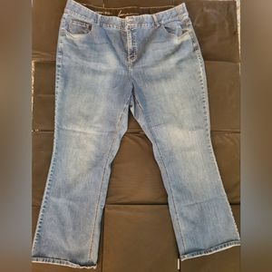 Lane Bryant Jeans